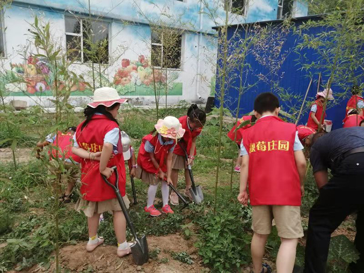 2019年6月23日，新华小学学生到融莓庄园体验“一日农夫”在田间参加劳动.jpg