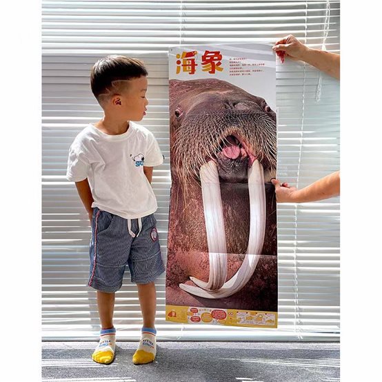 C:UsersyangqingAppDataLocalTempWeChat Files5932f5b241a07a89309335473db666.jpg