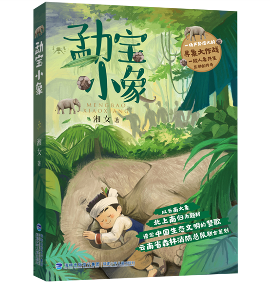图片