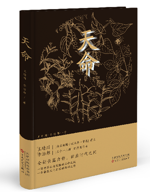 天命 立体封 