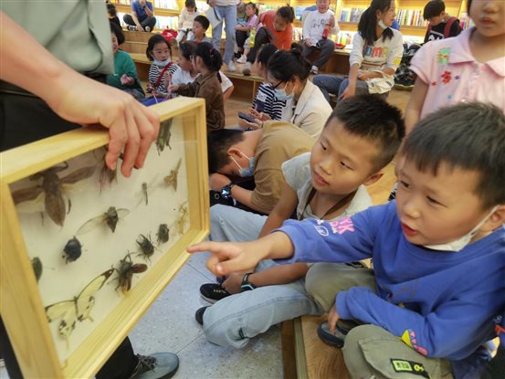 合肥市城市阅读空间合铁家园悦书房20220924培训-奇趣昆虫课活动 (3)