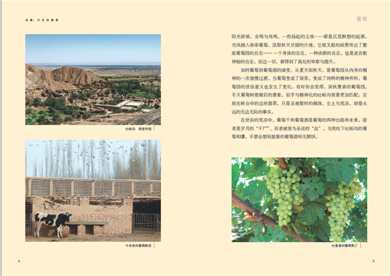 E:软件WeChat Fileswxid_00qqynnm0acs21FileStorageTemp90251794462.png
