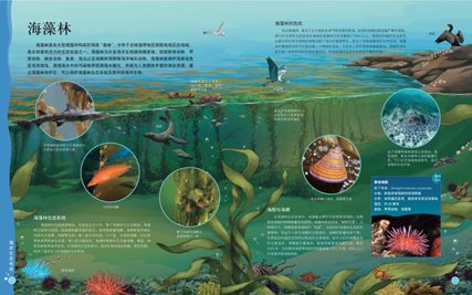 海藻林