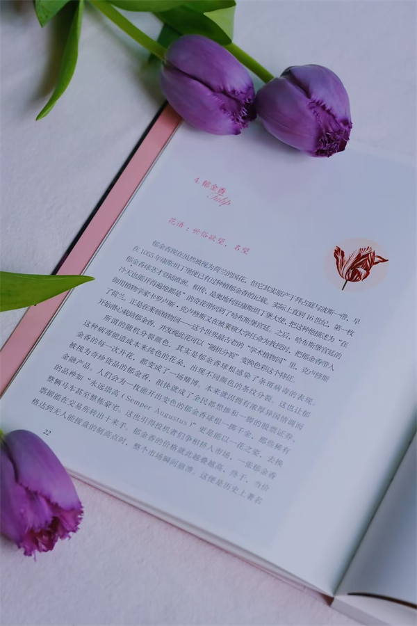 图片48.png