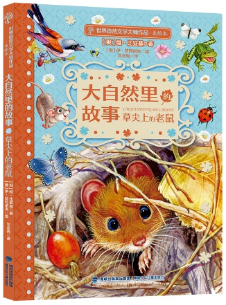 图片14.png