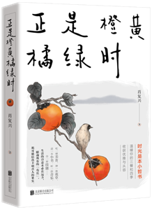 图片92.png