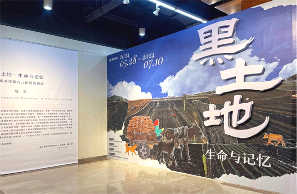 图片26.png