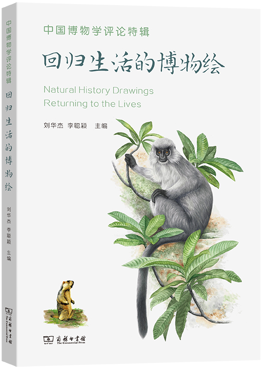 图片23.png