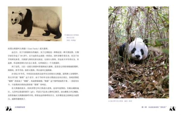 图片26.png