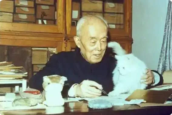 图片10.png
