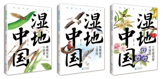 湿地中国