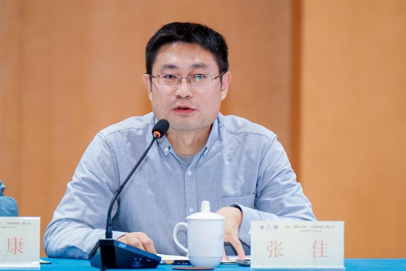 复旦大学文史研究院研究员张佳