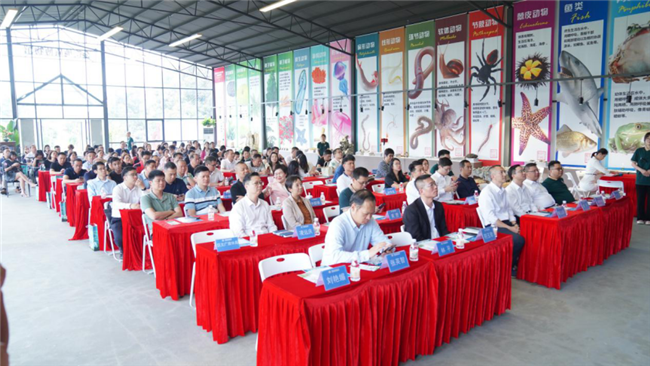 图片 13.png