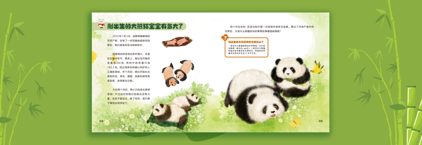 微信截图_20250606233646.png
