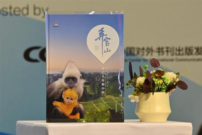 《弄官山——在白头叶猴中间》