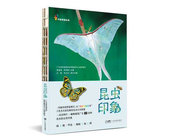 图片 1.png