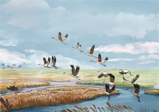 微信图片_20250922075916_43_354