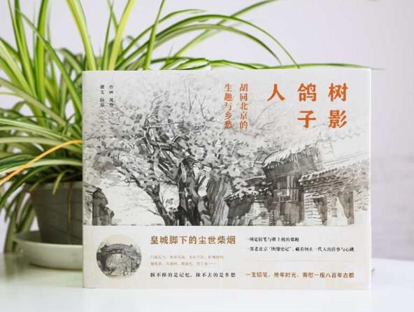 QQ截图20200511095239.jpg