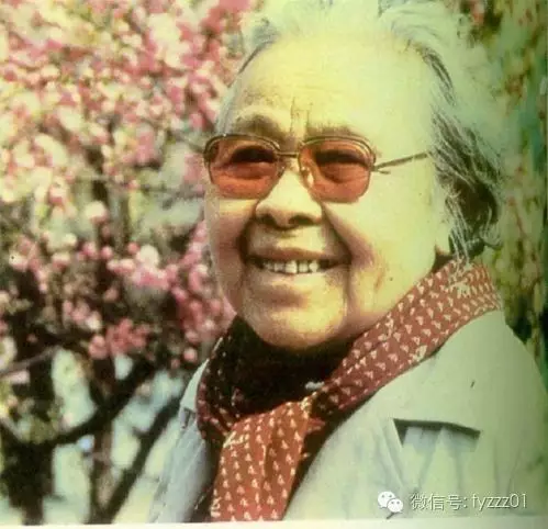 李美皆：丁玲的衣服与影像