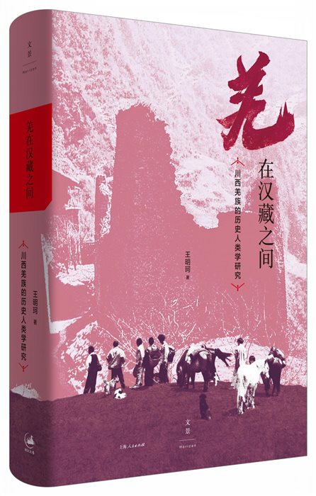 羌在汉藏之间 立体书影