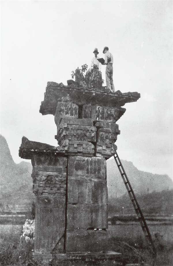 图片3.png 图片3.png