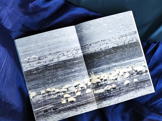 735ae7a4ffbf8da2688251d5de32bf89