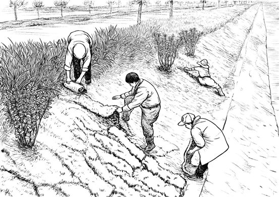 微信图片_20241023211016