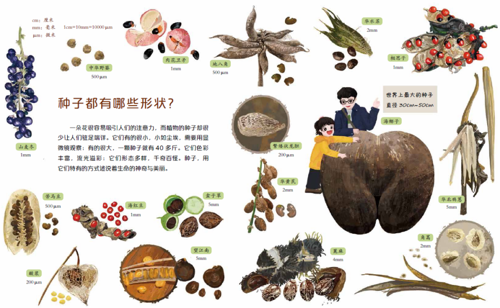 图片 9.png 图片 9.png