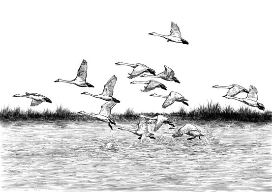 微信图片_20241011192830