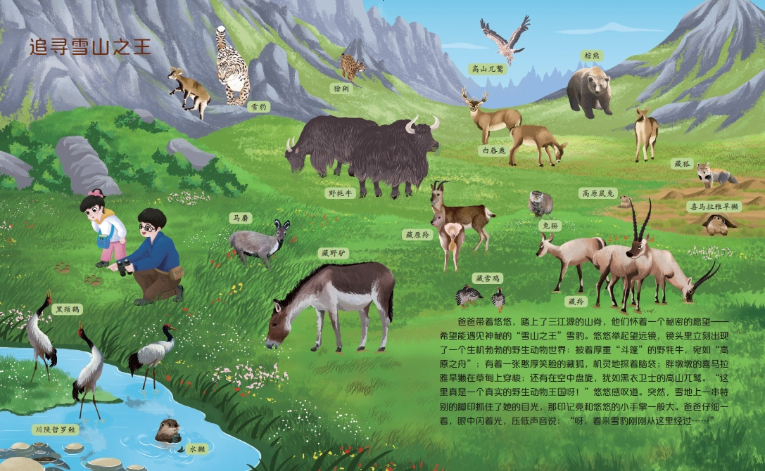 图片 8.png 图片 8.png