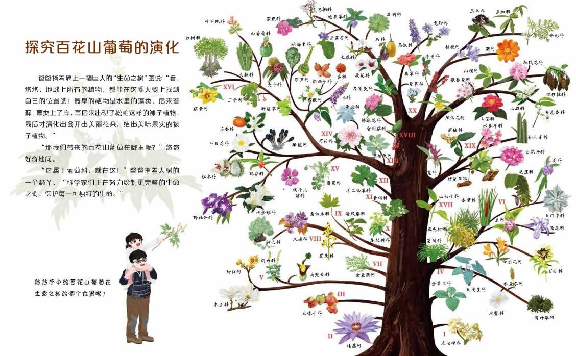 图片 7.png 图片 7.png