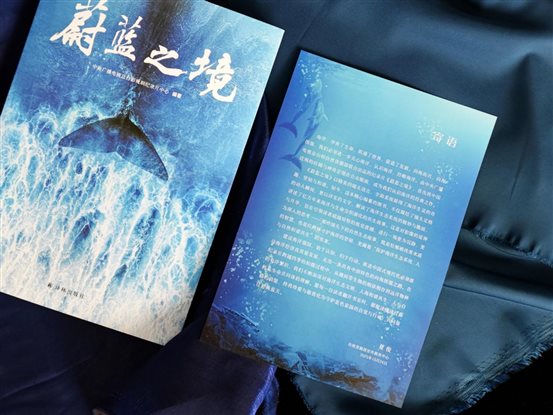 e3a01cb995f9e74329a685dad2a1a58b