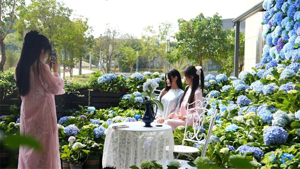 微信图片_2026-10-14_141552_213.jpg 微信图片_2026-10-14_141552_213.jpg