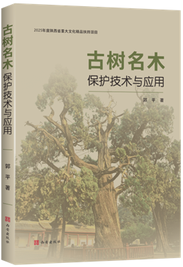 图片14.png 图片14.png