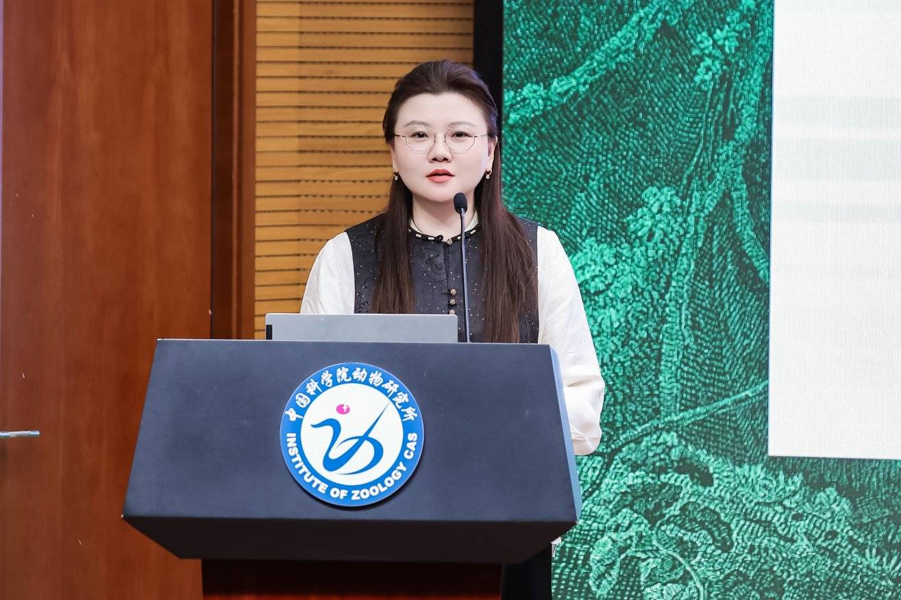 图片9.jpg 图片9.jpg