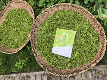 图片 4.png 图片 4.png