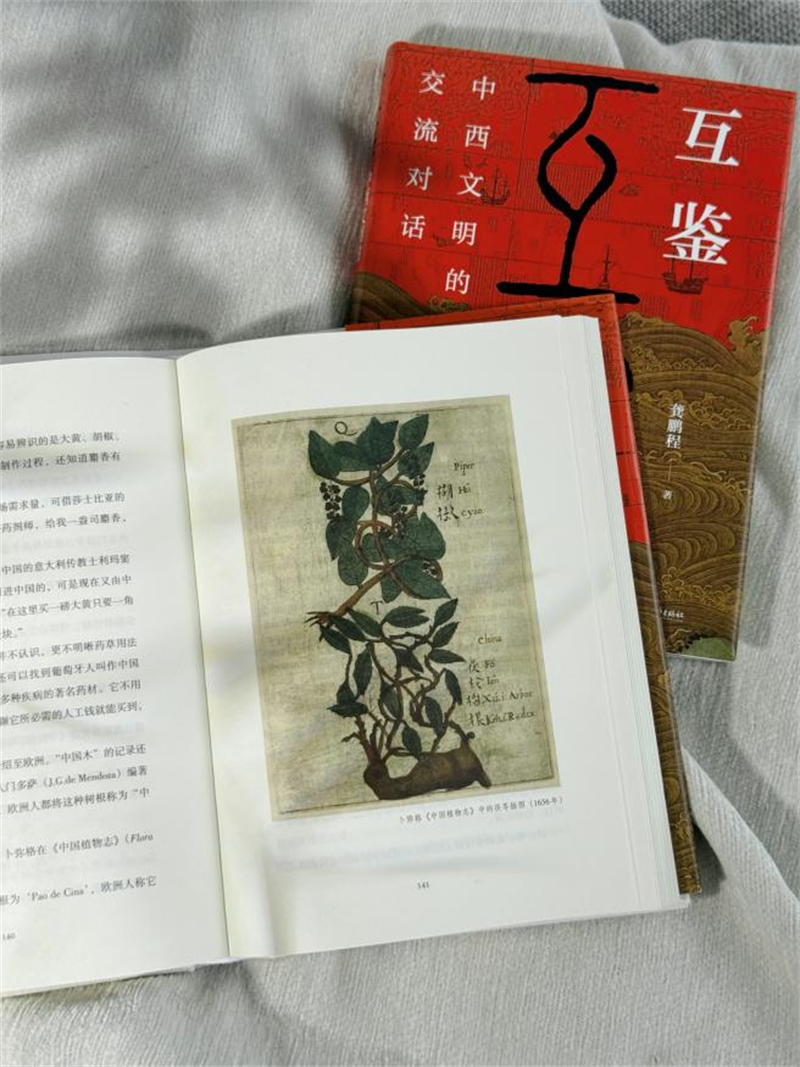 图片11.png 图片11.png